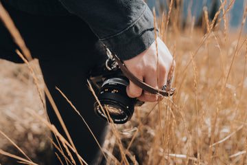 Why are mirrorless cameras so popular?
